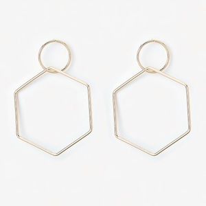 EXPRESS Hexagon Drop Earrings